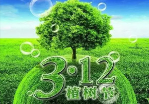 3月12日植樹(shù)節(jié),讓我們一起為未來(lái)“充植”