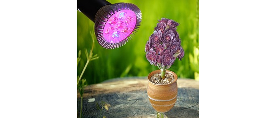 LED植物生長(zhǎng)燈吸潮短路、起霉怎么辦？快用線路板電防膠.jpg