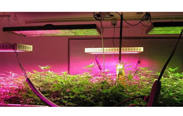 線路板三防漆,有機(jī)硅線路板三防漆,植物燈線路板三防漆