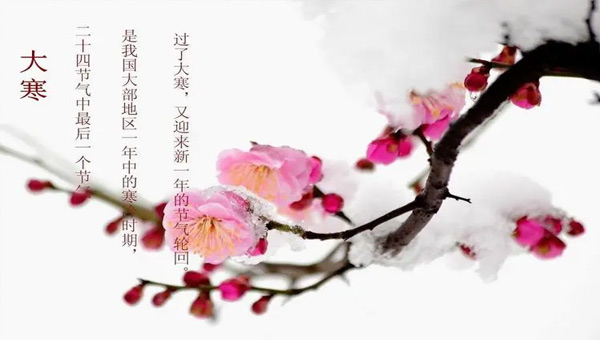大寒：冬季的終點，春天的起點.jpg