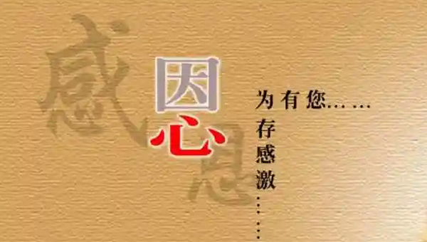 感恩的力量：施奈仕人的感恩節(jié)，銘記每一份支持與陪伴